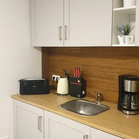 Ferienwohnung Appartement Schwegenheim