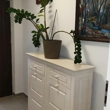 Ferienwohnung Apartment